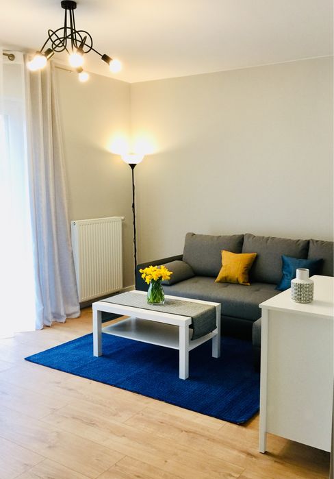 Mieszkanie – Poznań - Widok 3