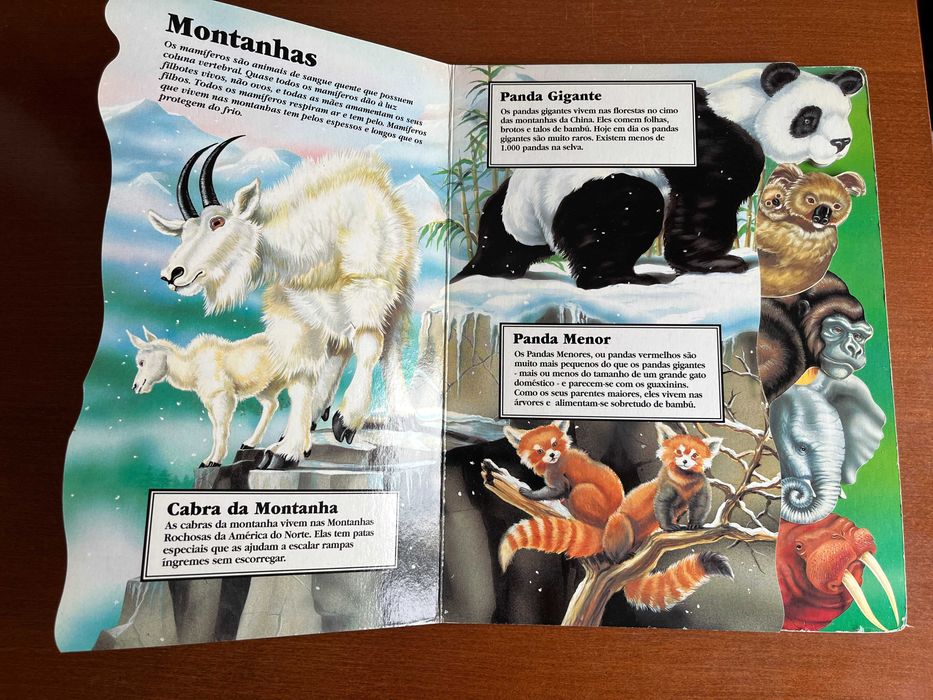 Mamíferos na Ponta dos Dedos