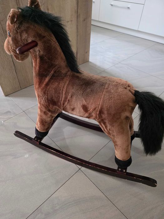 Konik na biegunach