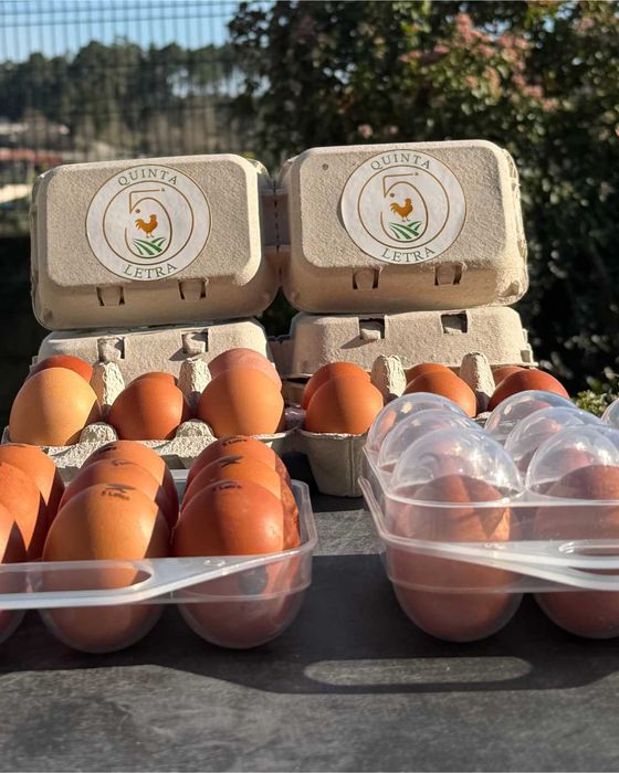 Ovos Caseiros Selecionados – Produção Limitada