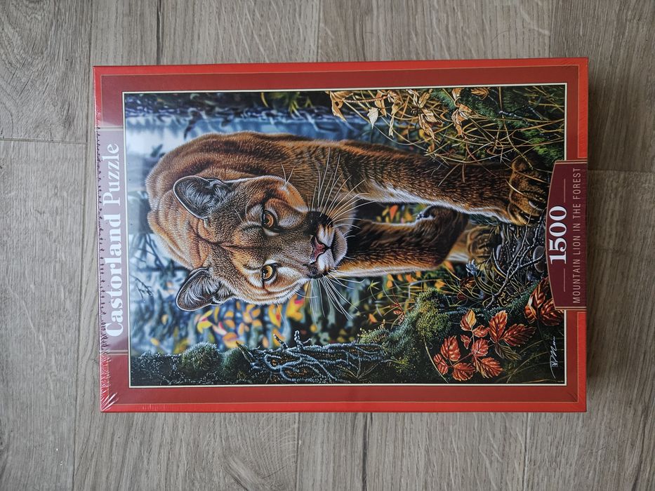 Nowe puzzle 1500 castorland