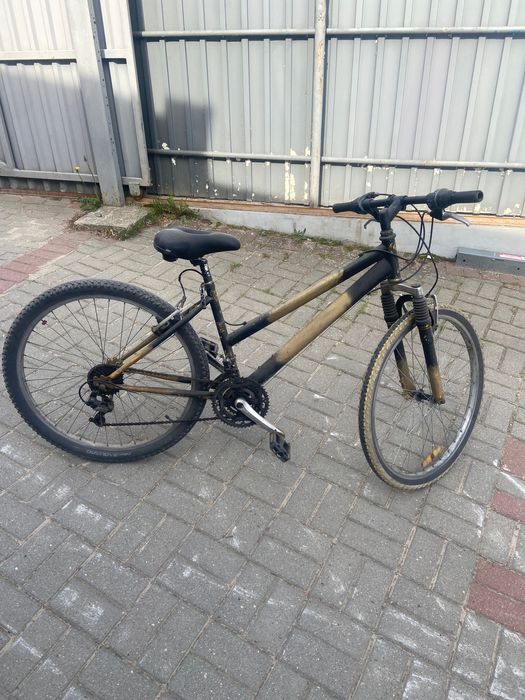 Rower miejski sport i hobby