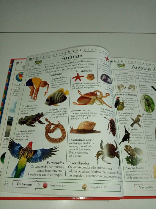 Enciclopédia Infantil Ilustrada