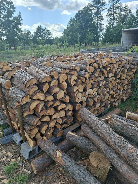 Drewno opałowe sosnowe