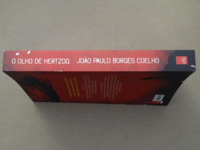 O Olho de Hertzog de João Paulo Borges Coelho