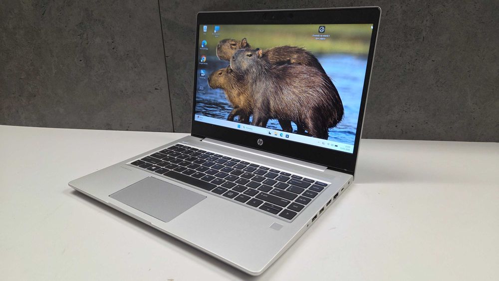 HP ProBook 445 G7 Ryzen 5 4500U 8GB Dysk 256SSD Vega 8 Laptop Win 11