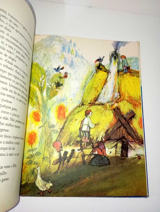 Ivan e o Ganso - Mischa Damjan