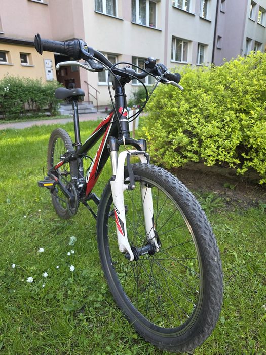 Rower unibike raptor