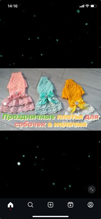 Одяг для песиків та котиків