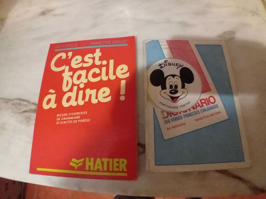 Conjunto de 2 Livros Gramática/Dicionário Francês