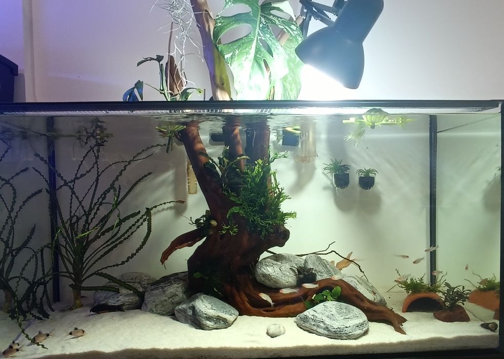 Akwarium 112 litrów z szafką zestaw