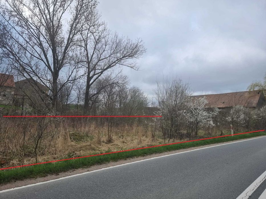 Działka siedliskowa 4200 m² we wsi Niedźwiednik 57-224 koło Ziębic [3 działki] - Widok 5