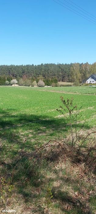 Działki budowlane z warunkami zabudowy, Giezkowo - Widok 6