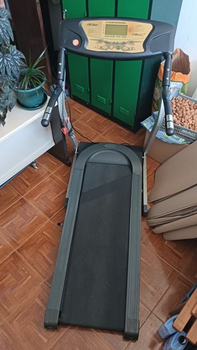 Treadmill489520403003494401