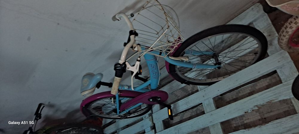 Bicicleta pasteleira BERG