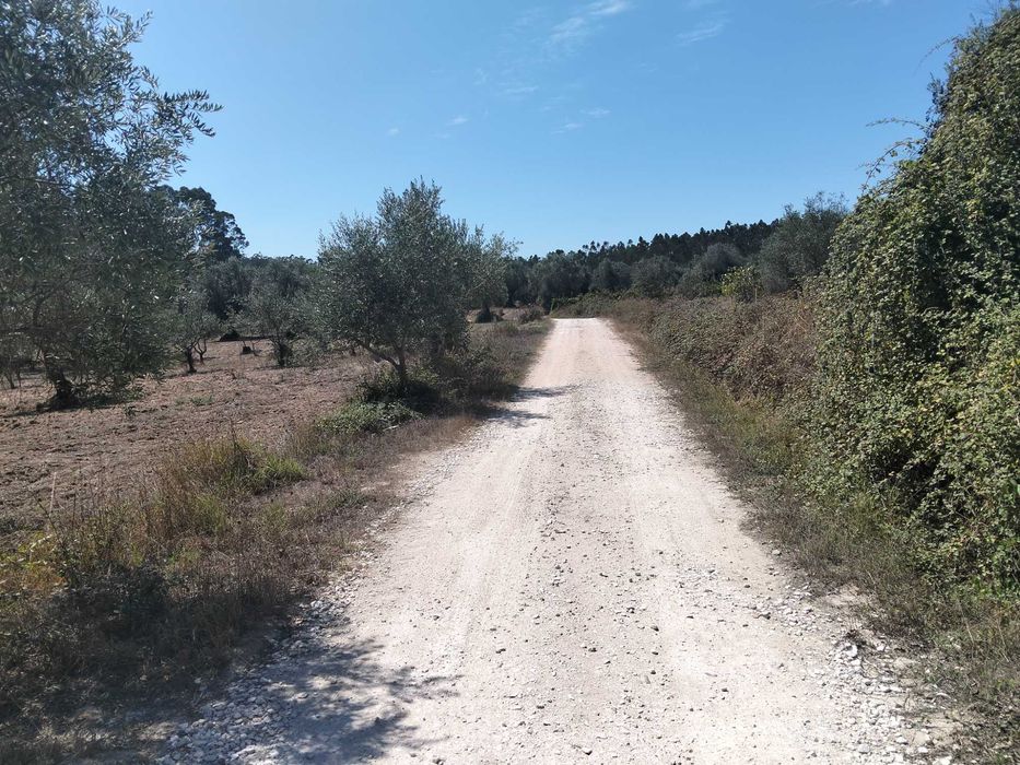 Terreno Rustico Inserido em zona de campo, localizado na periferia da Localidade