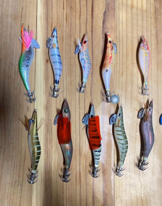 Iscos de pesca de choco