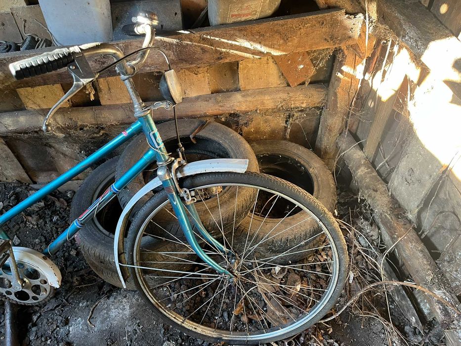 Stary rower model 112- 512