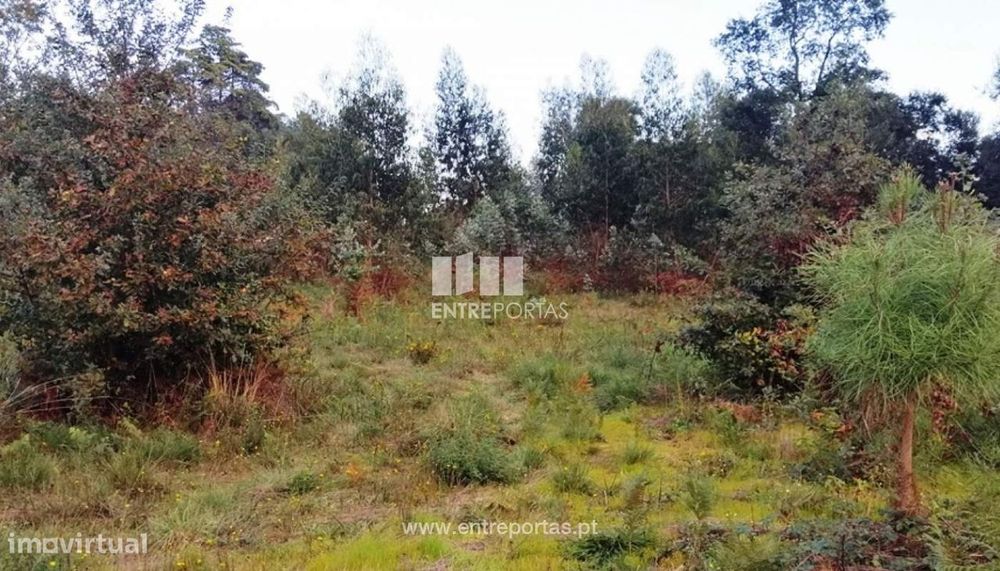 Venda de terreno para construção, Carvoeiro, Viana do Castelo — Mujães, Viana do Castelo