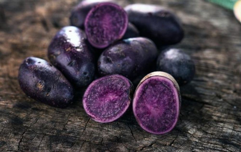 Ziemniaki fioletowe jadalne 5 kg