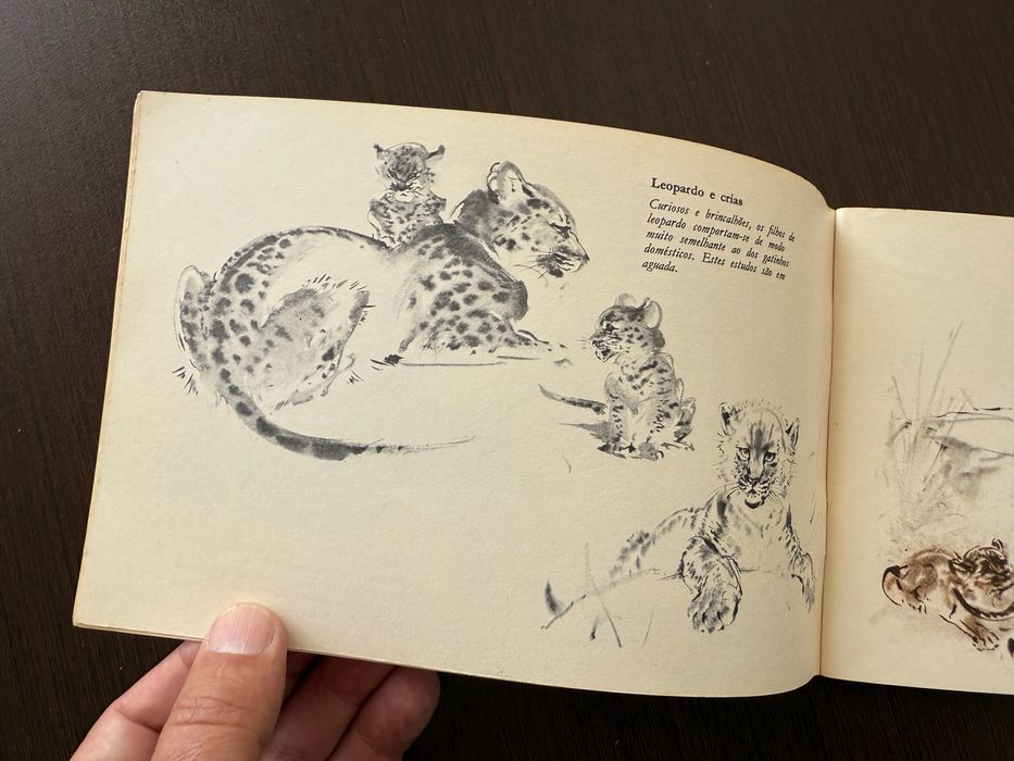 livro é "Animais Vistos por um Artista", um caderno de esboços do artista Ralph Thompson.