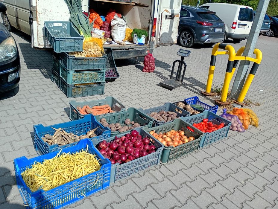 Warzywa od rolnika z dostawą