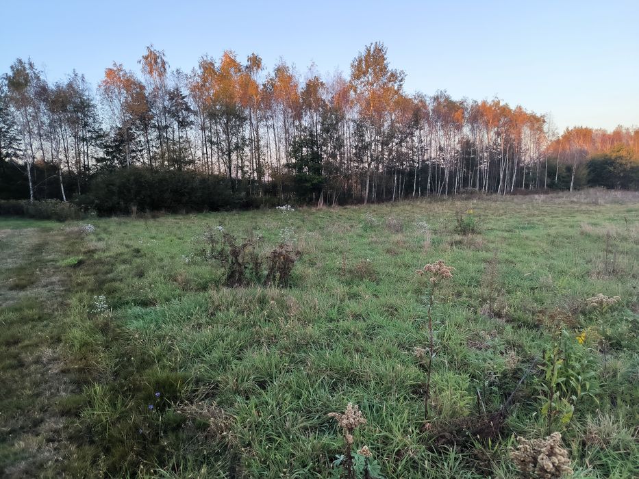 Działki pod budowę