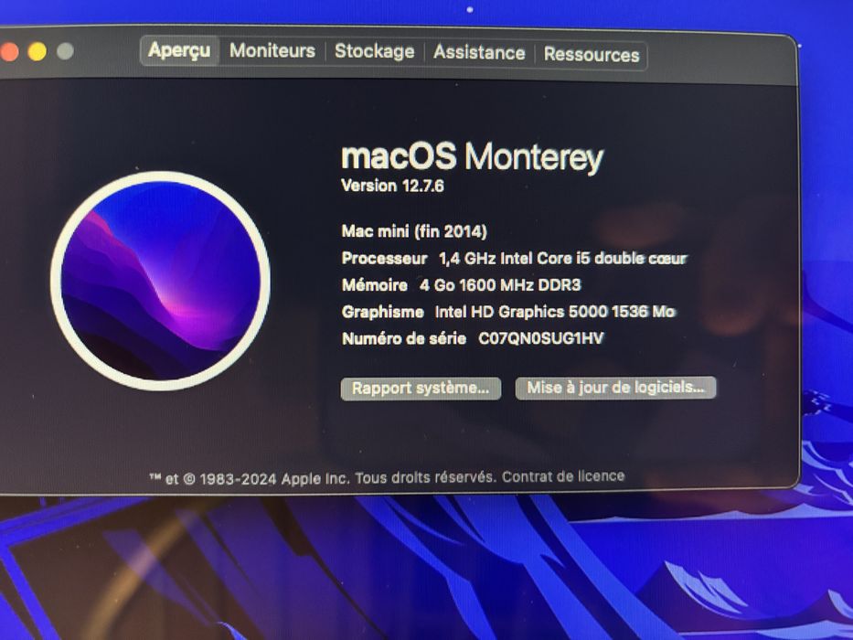 Ecran Apple e Mac mini