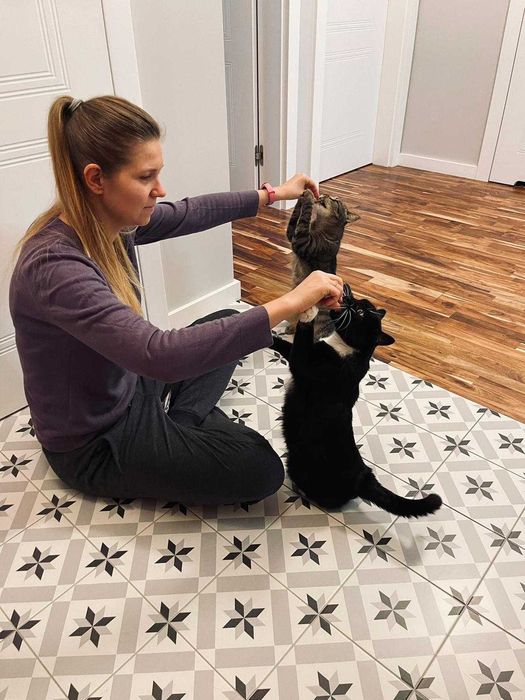 Opieka nad kotem / petsitter / catsitter