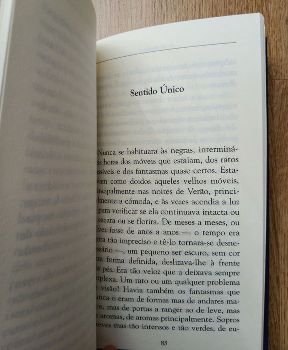 Maria Judite de Carvalho, Seta Despedida