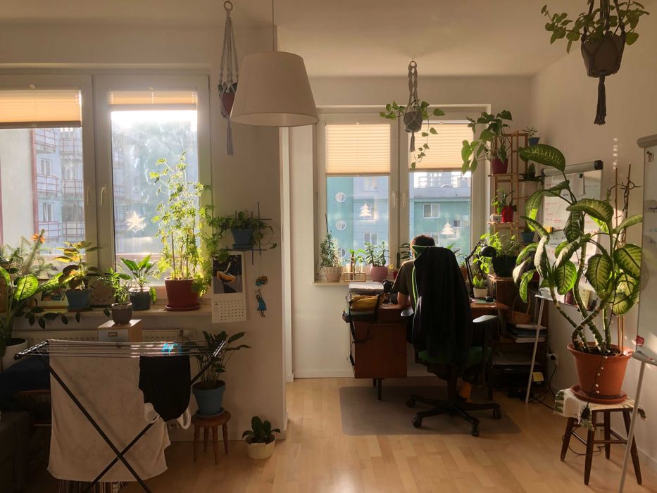 Jasne, dwupokojowe mieszkanie niedaleko Łazienek (Czerska) + garaż