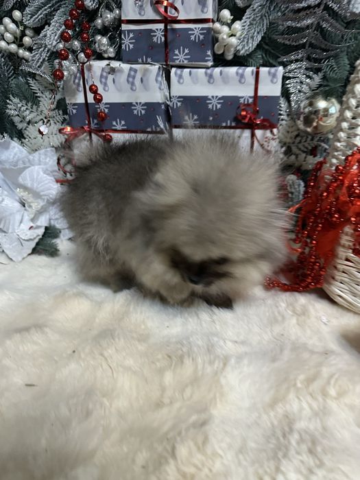 Крошка на долошку,посочка