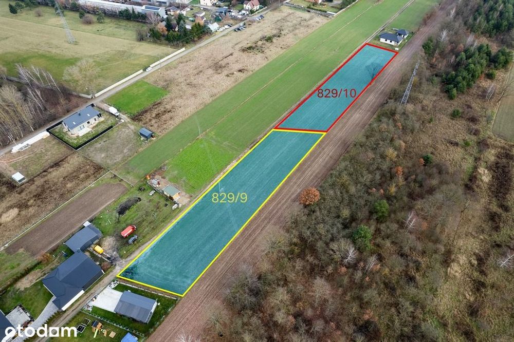 3002 m² natury i spokoju w Gręzowie