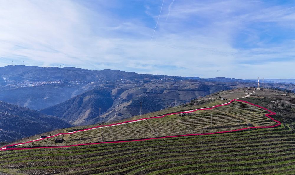 Vende-se terreno rústico em Valença do Douro - Tabuaço