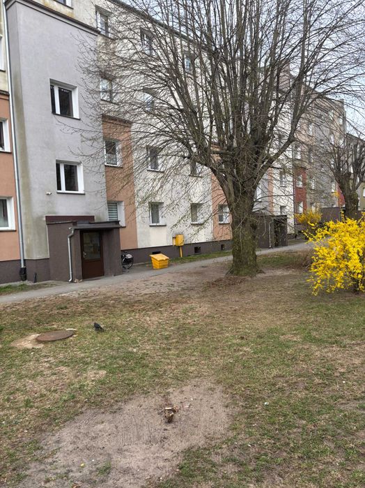 Sprzedam 3 pokojowe mieszkanie 1 Maja na 1 piętrze