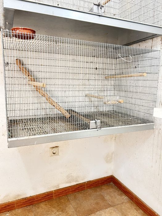 Voadeiras para aves com comedouros