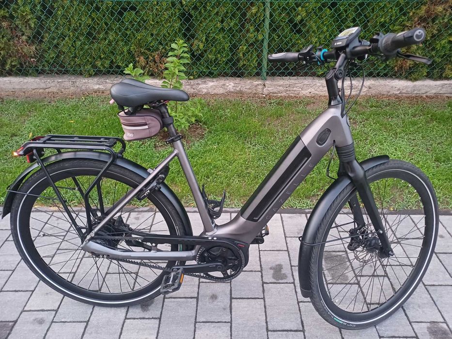 Rower Gazelle Ultimate C380 Bosch