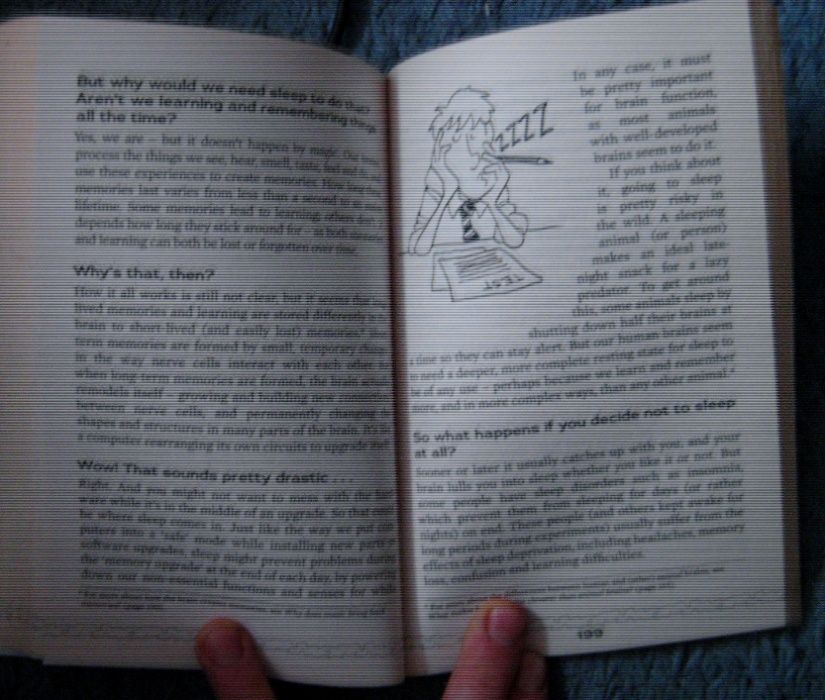 Детская книга на английском How Loud Can You Burp? by Glenn Murphy