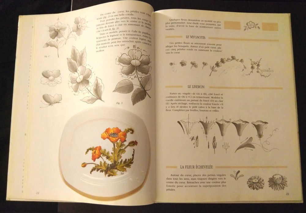 Lydie Guillem - Découvrir et s'initier à la peinture sur porcelaine