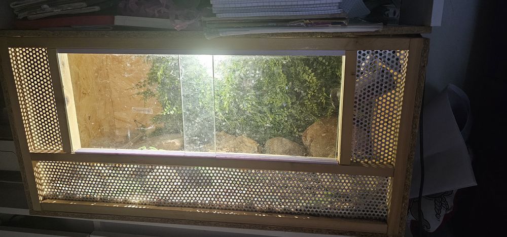 Terrarium  dla gada
