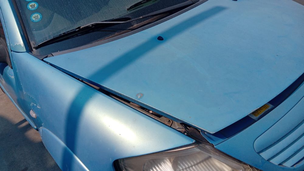 Capot CITROËN C3 I (FC_)