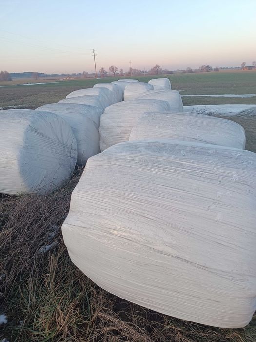 Sprzedam sianokiszonkę