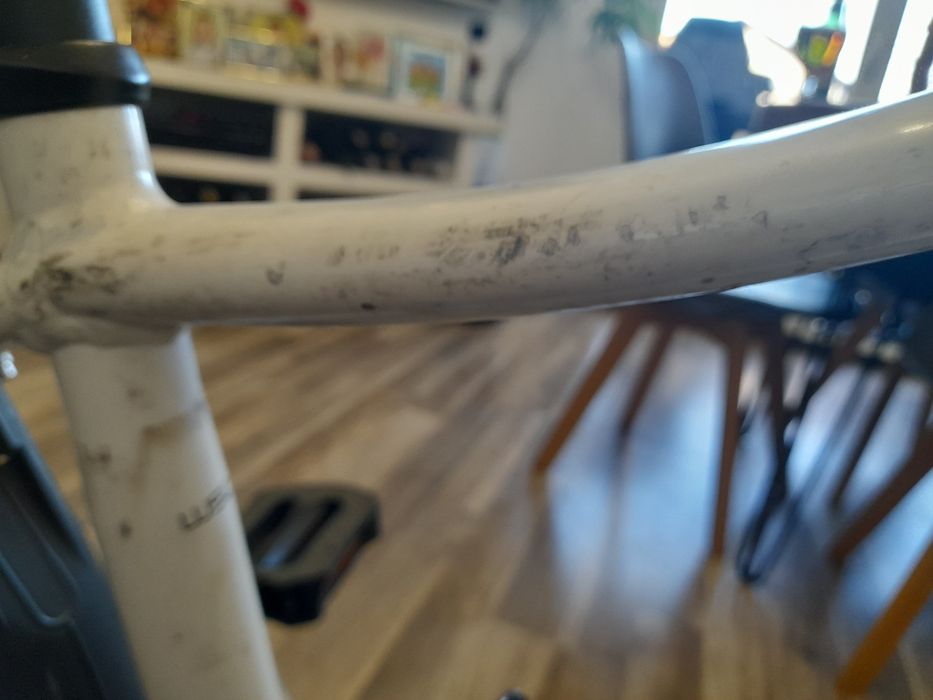 Rower Trek neko 2 rozmiar S damski