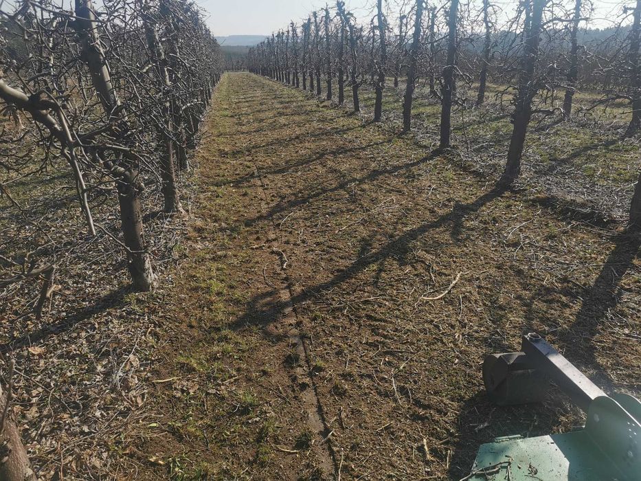 kosiarka sadownicza mulczer tłuka rotosan rozdrabniacz sadowniczy