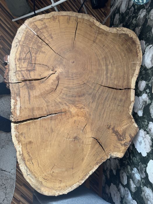 Plaster drewna (dąb) pod stolik/ławe 100x75x7cm