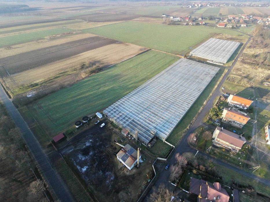 Sprzedam gospodarstwo ogrodnicze, szklarnia