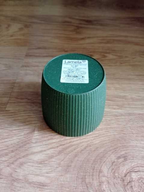 Doniczka Magnolia zielony leśny