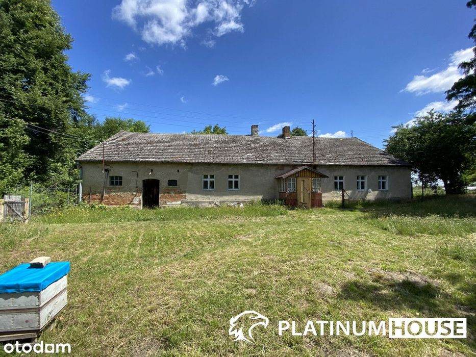 Dom – Zielona Góra - Widok 4