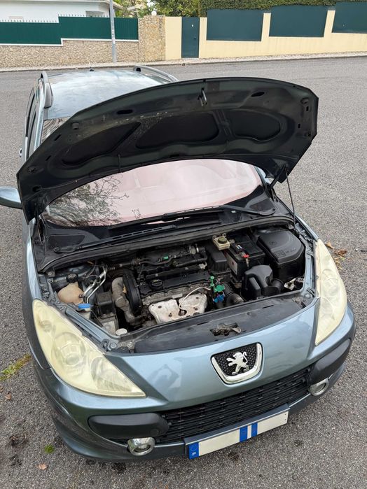 Peugeot 307 Break 1.4 Gasolina | 2007 | 240 000 km