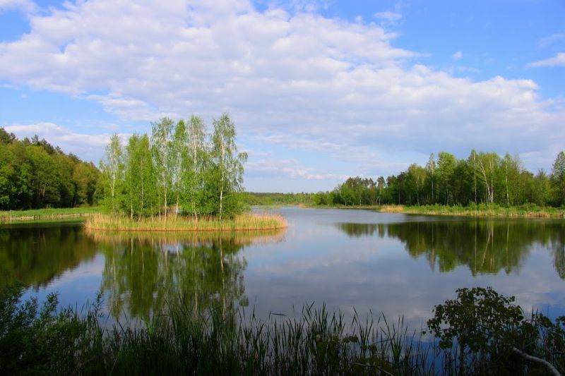 Продам участок Нежиловичи 53 сот.